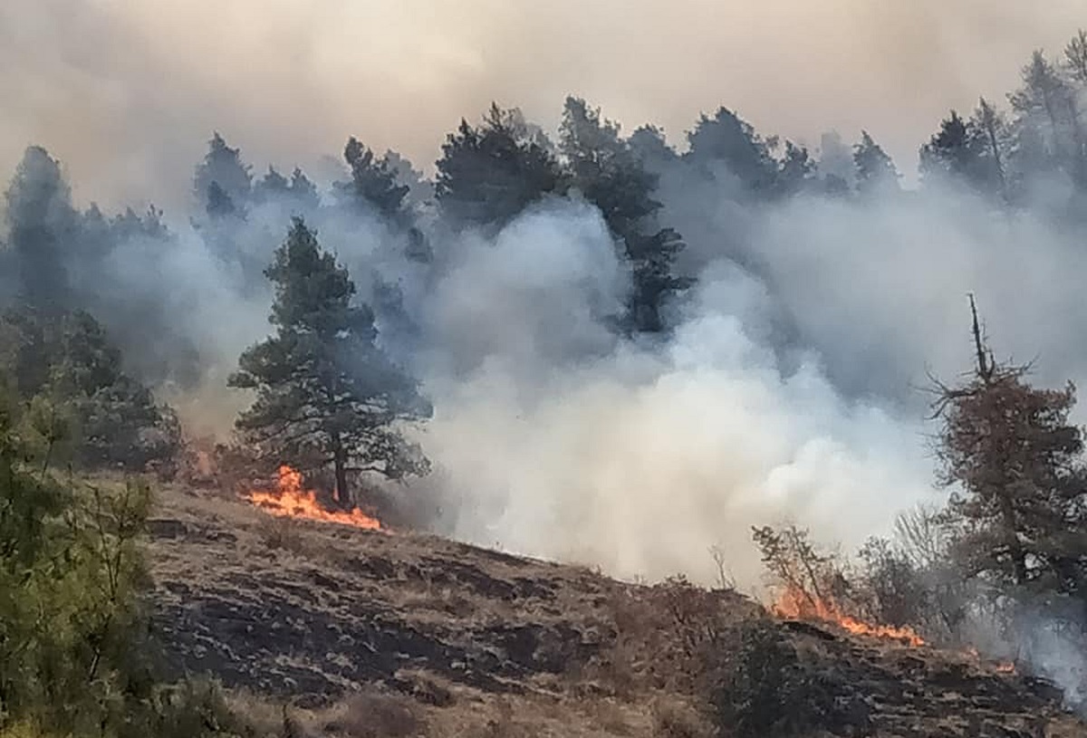 फाइल तस्बिर